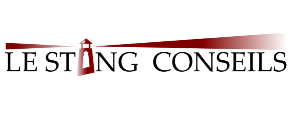 logo de LE STANG CONSEILS