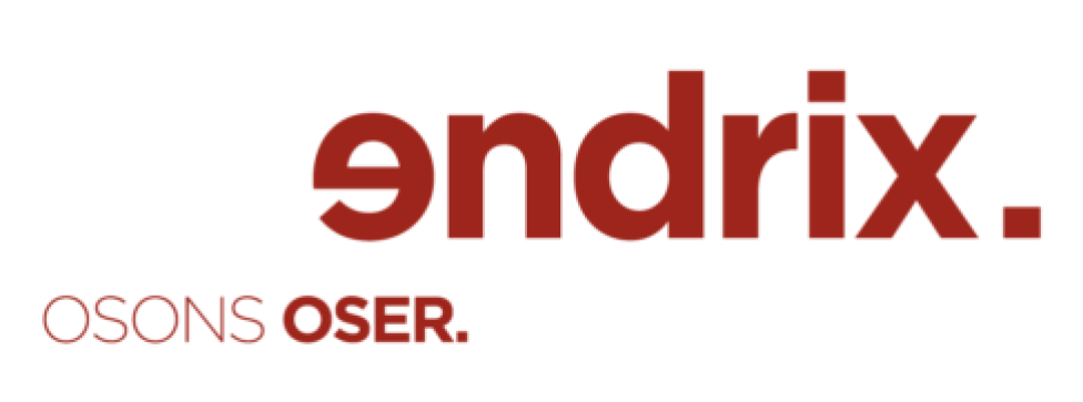 logo de endrix